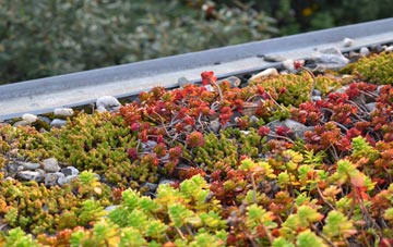 the cost of Ragged Appleshaw green roof installation