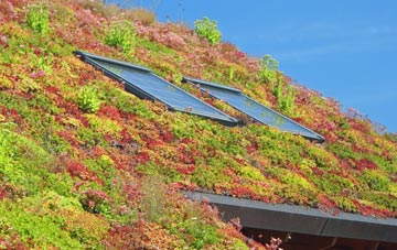 Ragged Appleshaw living roof systems